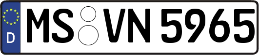 MS-VN5965