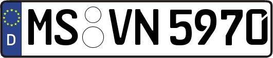 MS-VN5970