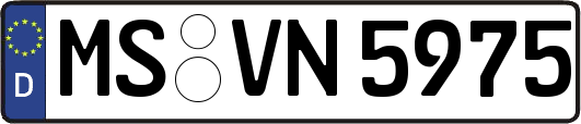 MS-VN5975