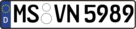 MS-VN5989