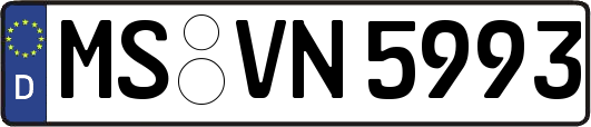MS-VN5993