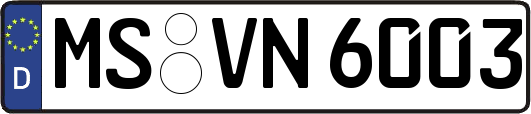MS-VN6003