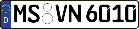 MS-VN6010