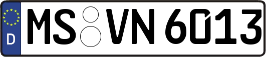 MS-VN6013