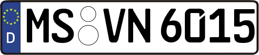 MS-VN6015
