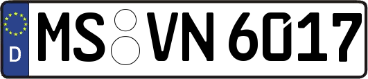 MS-VN6017