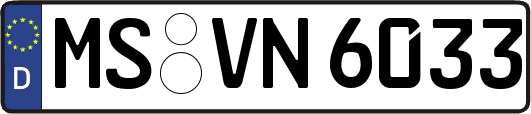 MS-VN6033