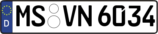 MS-VN6034