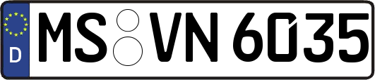 MS-VN6035