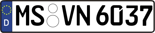 MS-VN6037