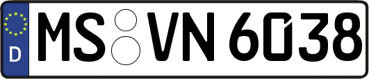 MS-VN6038
