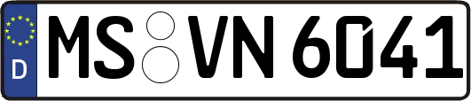 MS-VN6041