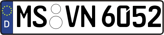 MS-VN6052