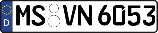 MS-VN6053