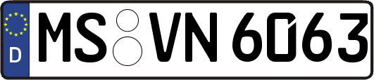 MS-VN6063