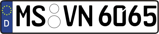 MS-VN6065