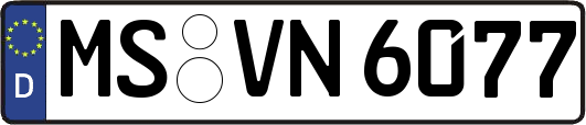 MS-VN6077