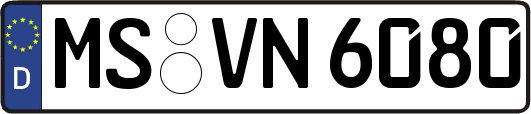 MS-VN6080