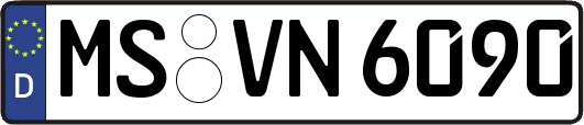 MS-VN6090