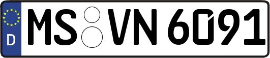MS-VN6091