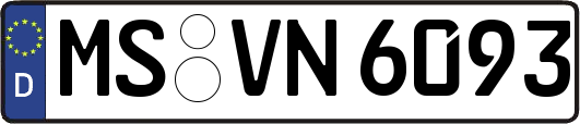 MS-VN6093
