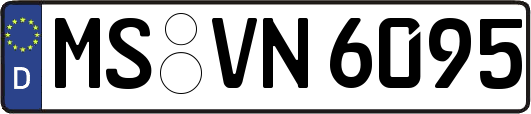 MS-VN6095