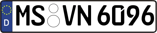 MS-VN6096