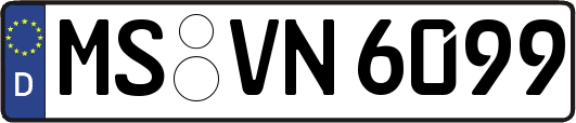 MS-VN6099