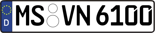 MS-VN6100