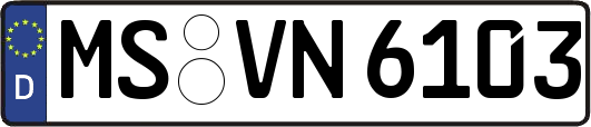 MS-VN6103