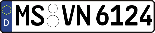 MS-VN6124