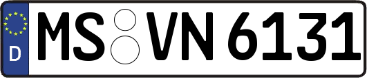 MS-VN6131