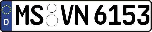 MS-VN6153