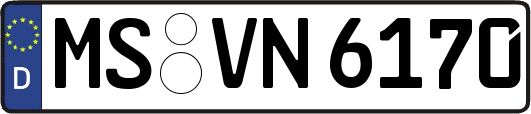 MS-VN6170