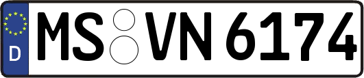 MS-VN6174