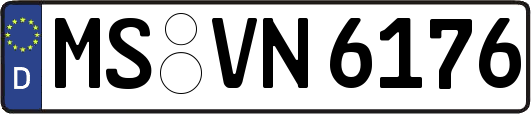 MS-VN6176