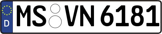 MS-VN6181