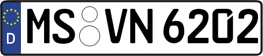 MS-VN6202