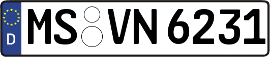 MS-VN6231