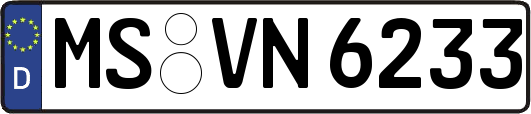 MS-VN6233