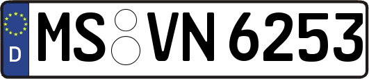 MS-VN6253