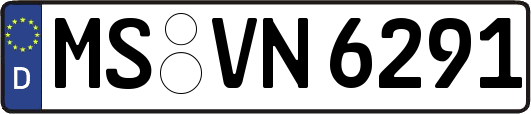 MS-VN6291
