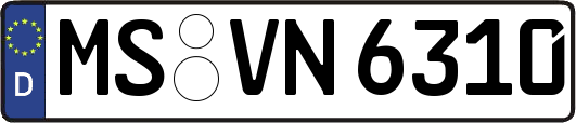 MS-VN6310