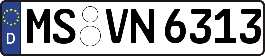 MS-VN6313