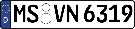 MS-VN6319