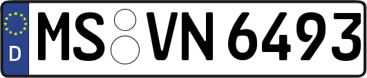 MS-VN6493