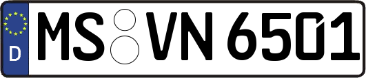 MS-VN6501