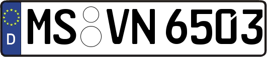 MS-VN6503