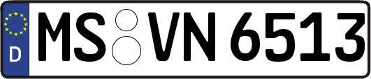 MS-VN6513