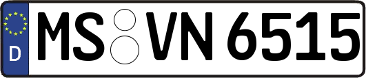 MS-VN6515